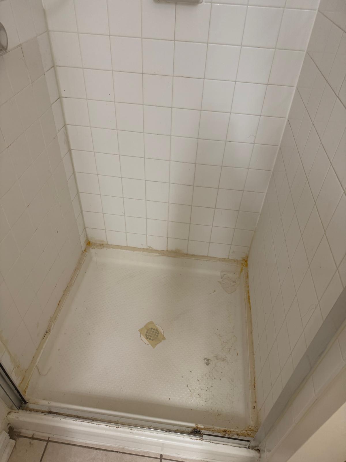 Dated shower stall before remodeling